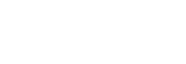 Reasonix AI Academy